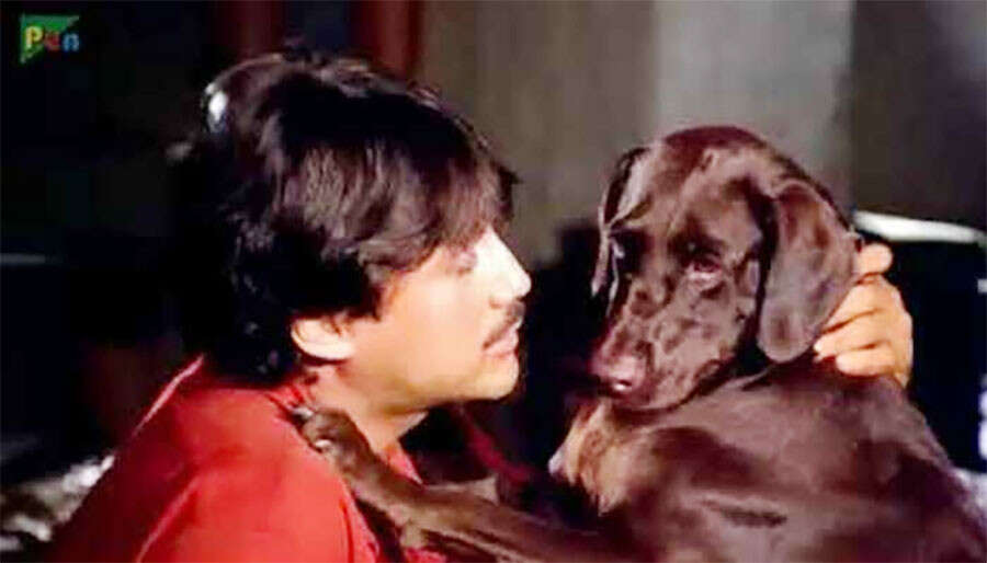 dogsinbollywoodfilms11756214698 Dogs In Bollywood Films