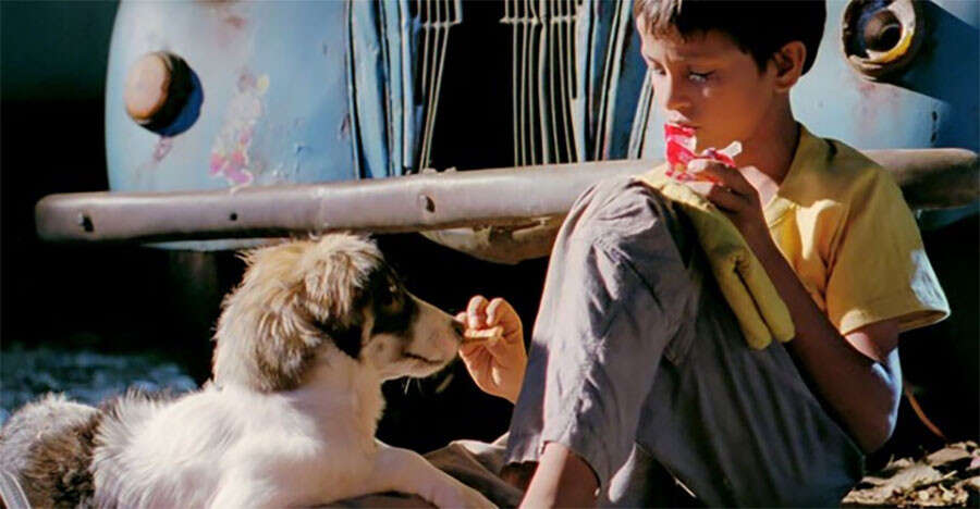dogsinbollywoodfilms31756214708 Dogs In Bollywood Films