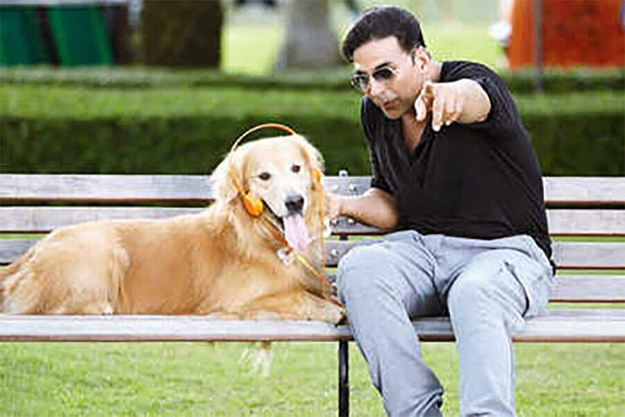 dogsinbollywoodfilms41756214712 Dogs In Bollywood Films