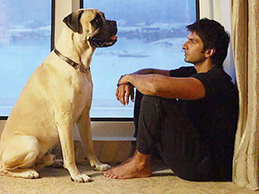 dogsinbollywoodfilms51756214717 Dogs In Bollywood Films