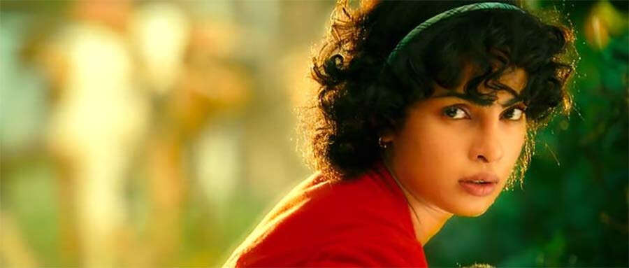 barfi61757829895 barfi
